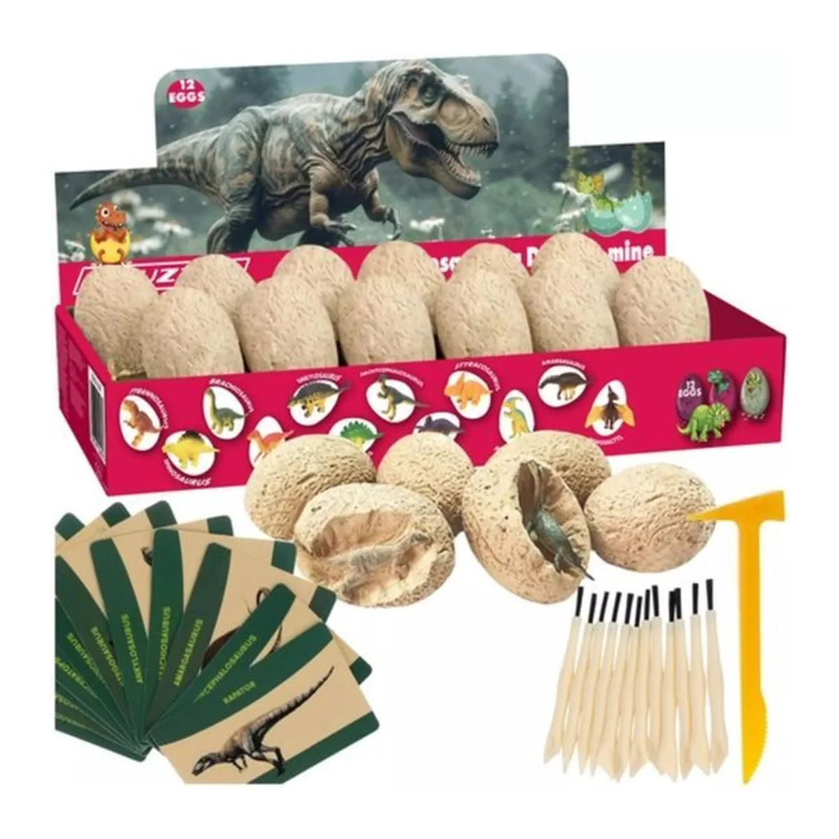 Kruzzel Dinosaur Mine - 12 Opgravingsset voor Kinderen - Educatief Speelgoed - 8