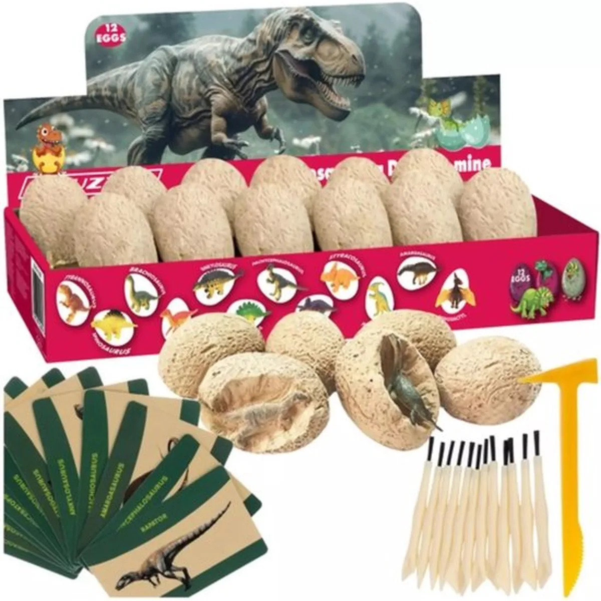 Kruzzel Dinosaur Mine - 12 Opgravingsset voor Kinderen - Educatief Speelgoed