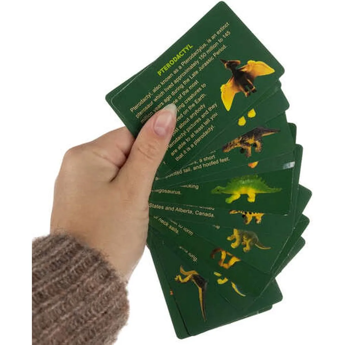 Kruzzel Dinosaur Mine - 12 Opgravingsset voor Kinderen - Educatief Speelgoed - 5
