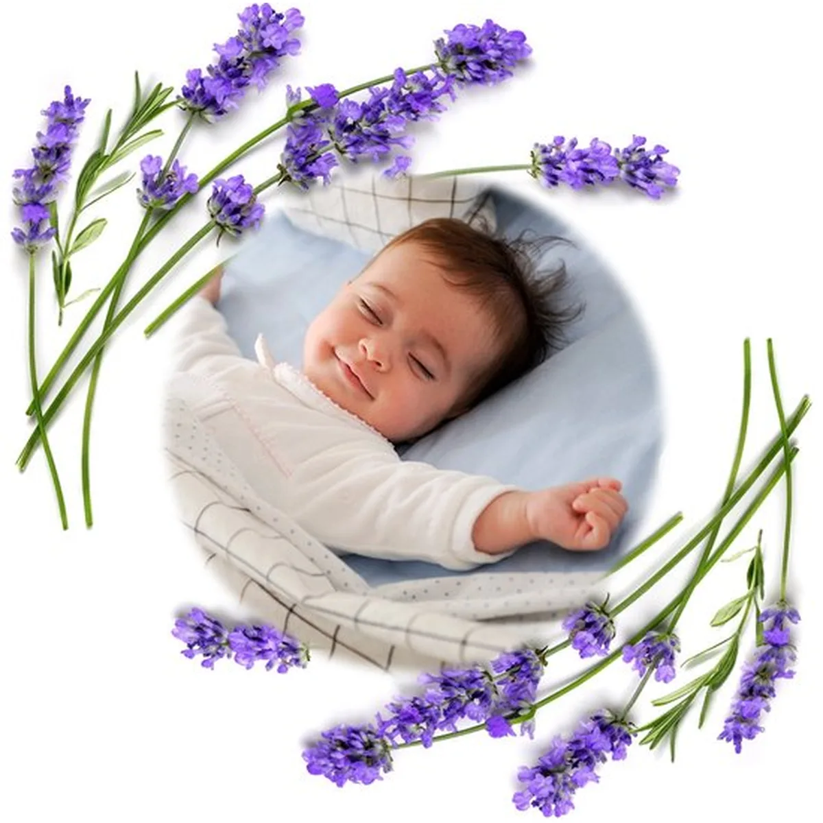 BabyOno Cherry Blauw Lavendel Pittenzak 796/03 - 6